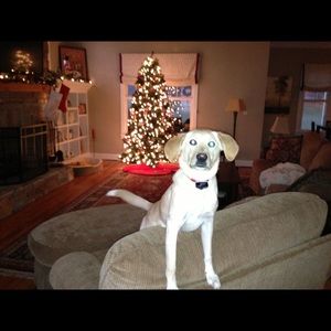 Meet your Posher, Rob